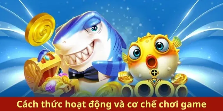Bật Mí Cách Chơi Bắn Cá Royal Fishing Tại 23WIN Ăn Trọn Hũ Vàng 1 Bật Mí Cách Chơi Bắn Cá Royal Fishing Tại 23WIN Ăn Trọn Hũ Vàng