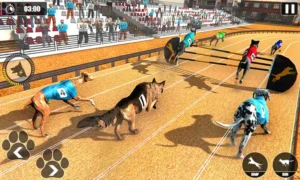 Hướng Dẫn Chơi Đua Chó 23WIN Chắc Thắng Cho Tân Binh 5 Hướng Dẫn Chơi Đua Chó 23WIN Chắc Thắng Cho Tân Binh